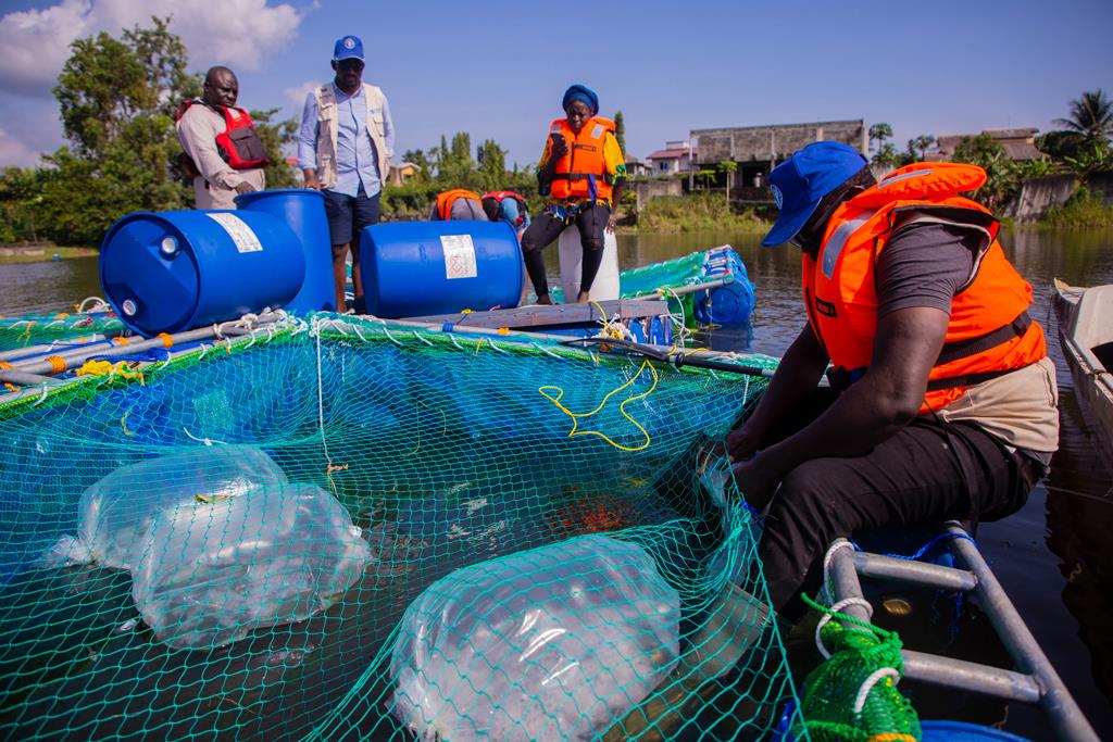 Aquaculture au Gabon : Défis et Perspectives d’Avenir