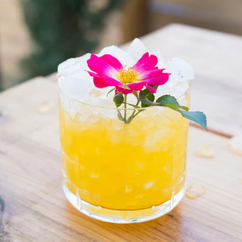 Fleurs en Cuisine : Éveillez Vos Sens !