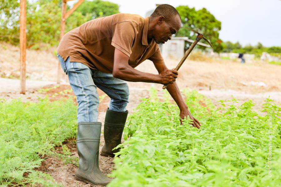 Gabon : Vers une autonomie économique innovante