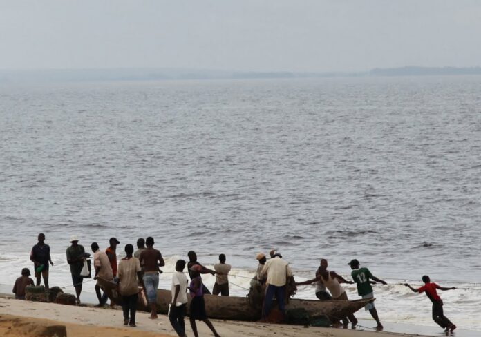 Barrage Inga 3 : enjeux environnementaux et préoccupations