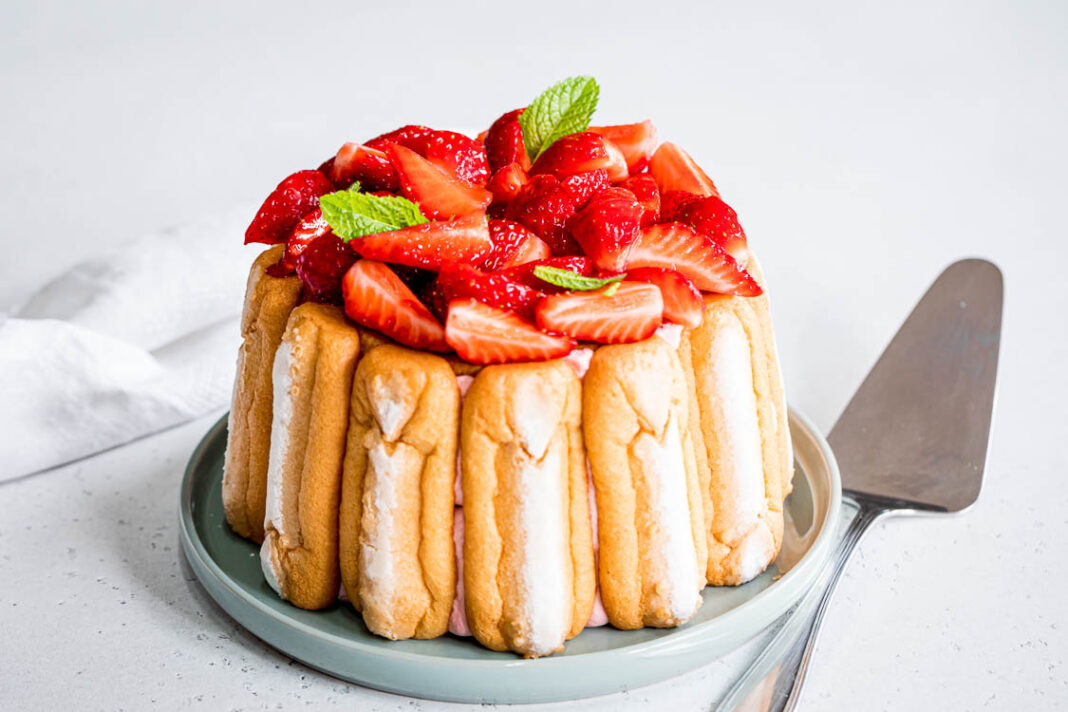 Charlotte aux Fraises : La Fraîcheur de Printemps