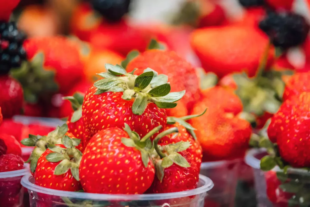 Conservez vos fraises : astuces pour éviter la déception !