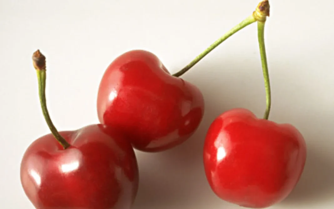 Les cerises : un trésor culinaire à savourer