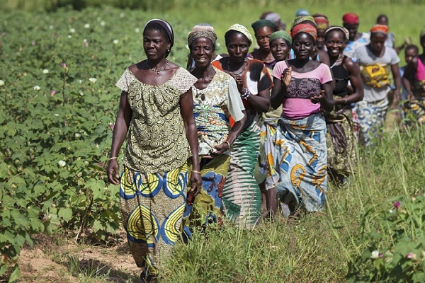 Inégalités économiques au Gabon : un défi à relever