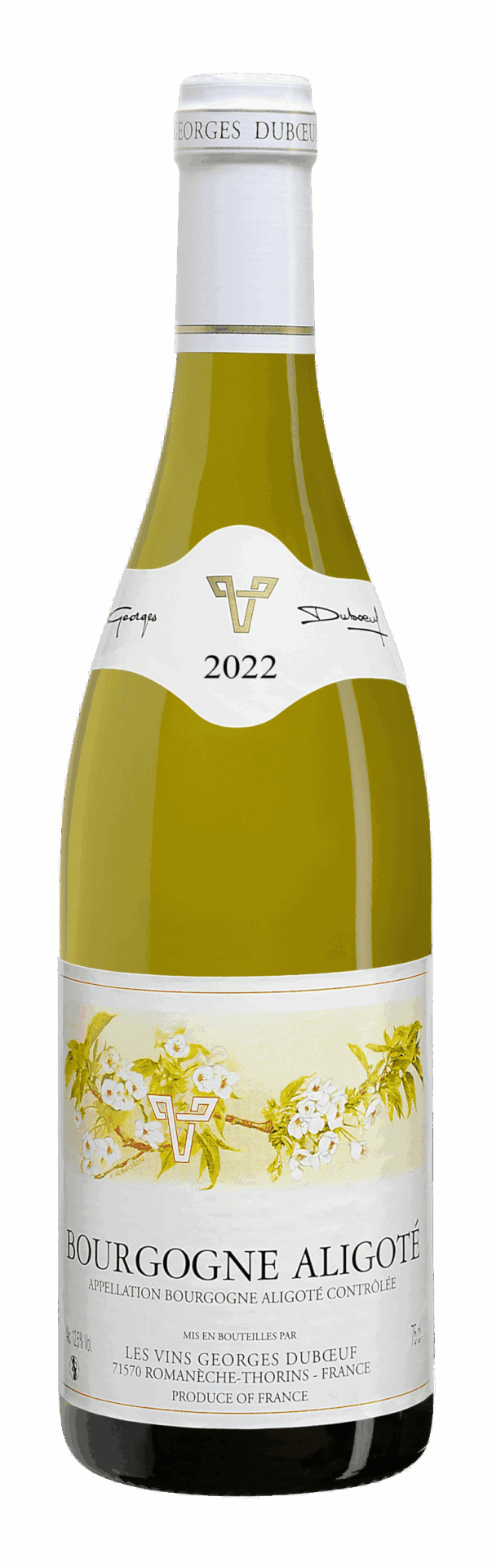 Odeurs et Vins : Une Immersion Sensorielle Inédite