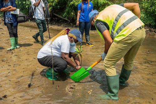 PSE au Gabon : Un Modèle de Conservation Innovant