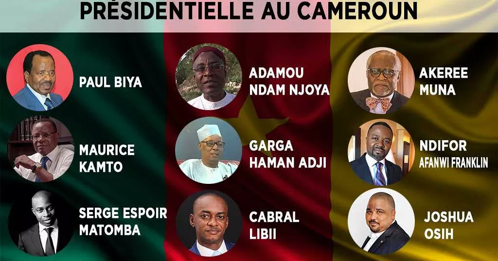 Succession présidentielle au Cameroun : enjeux et défis