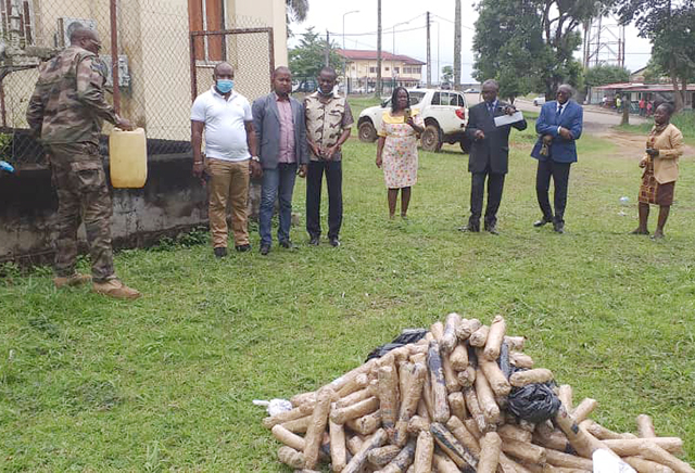 Démantèlement d’un réseau de trafic à Oyem.