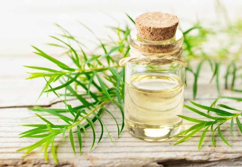 Beauté & Santé : le secret naturel qui défie l’acné