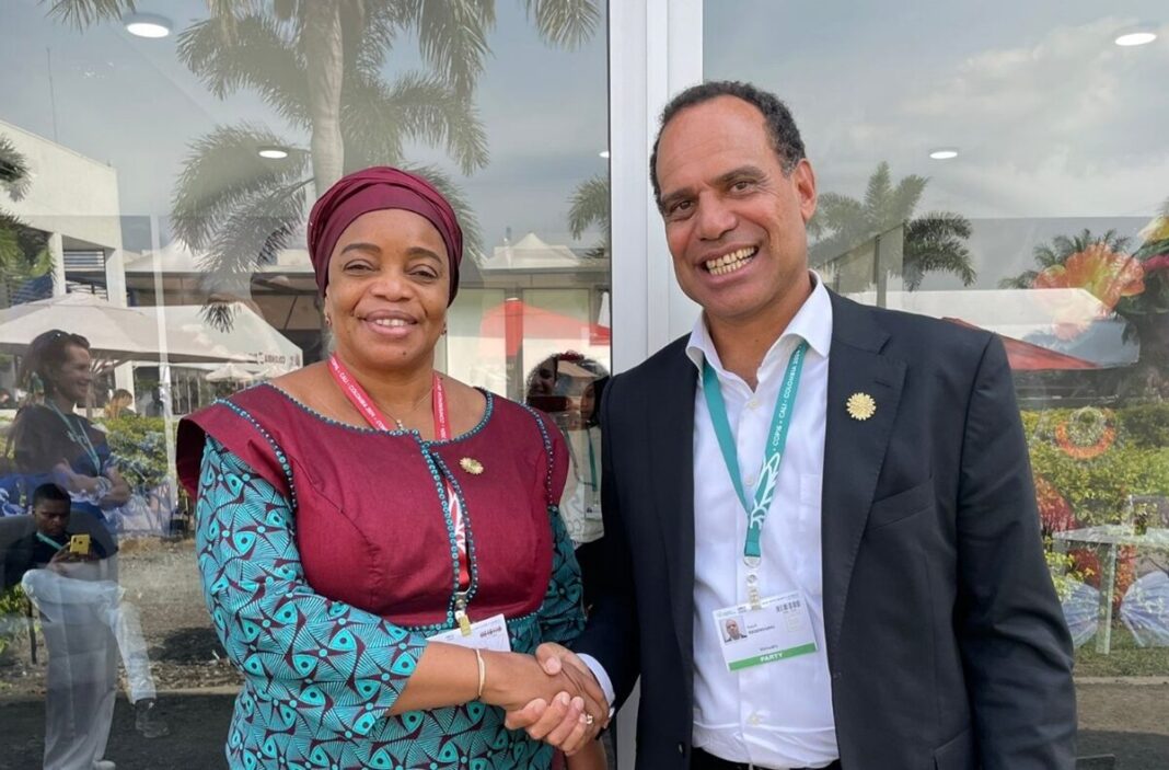 RDC : Lutte pour la reconnaissance de l’écocide