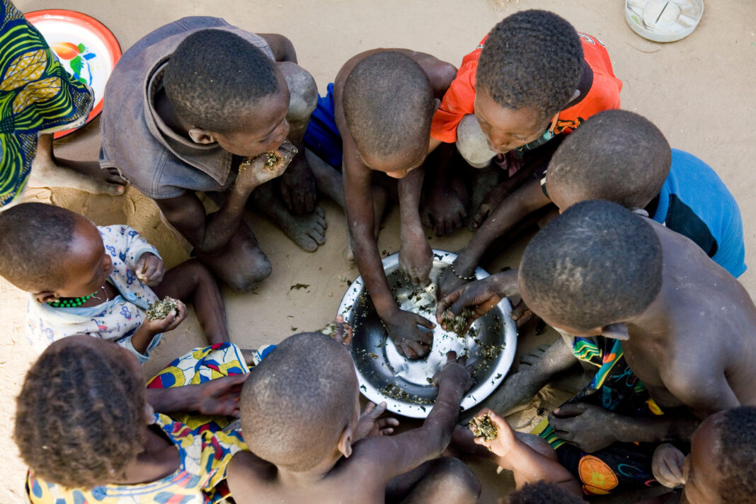 Crise alimentaire au Cameroun : action internationale