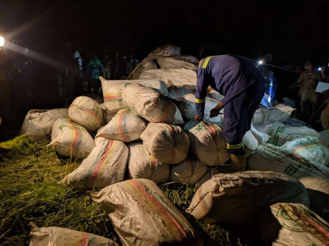 Saisie massive de cannabis: enjeux de sécurité au Cameroun