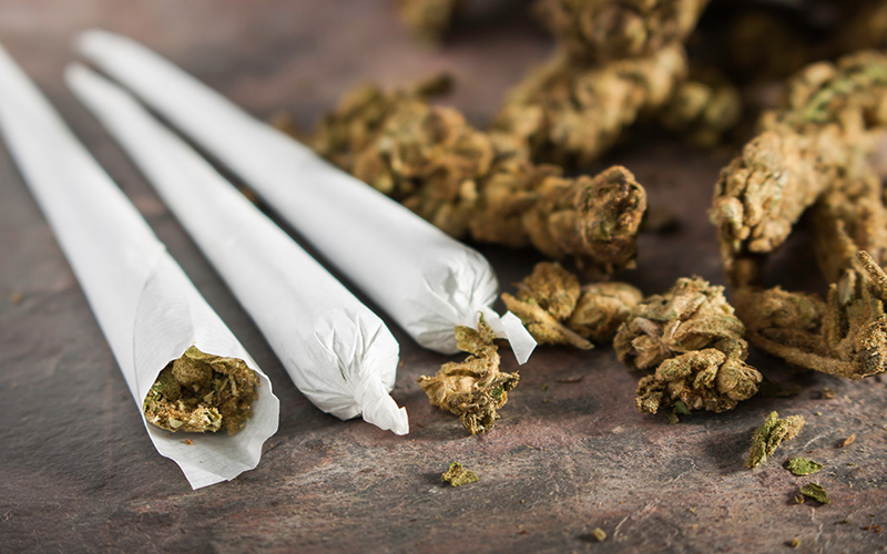 Lutte anti-drogue au Cameroun : progrès et défis