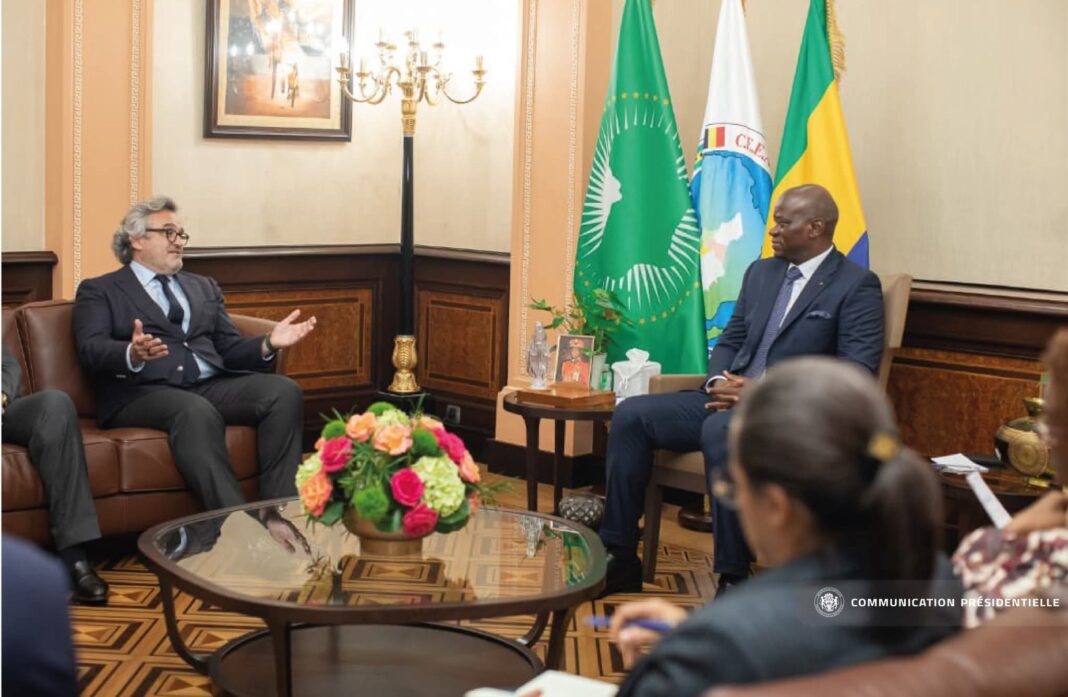 Gabon : Le chef de l’État reçoit le MEDEF en audience !