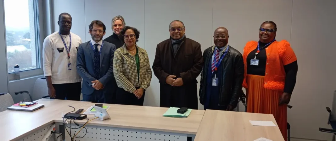 Participation du Cameroun au BIT : défis et opportunités