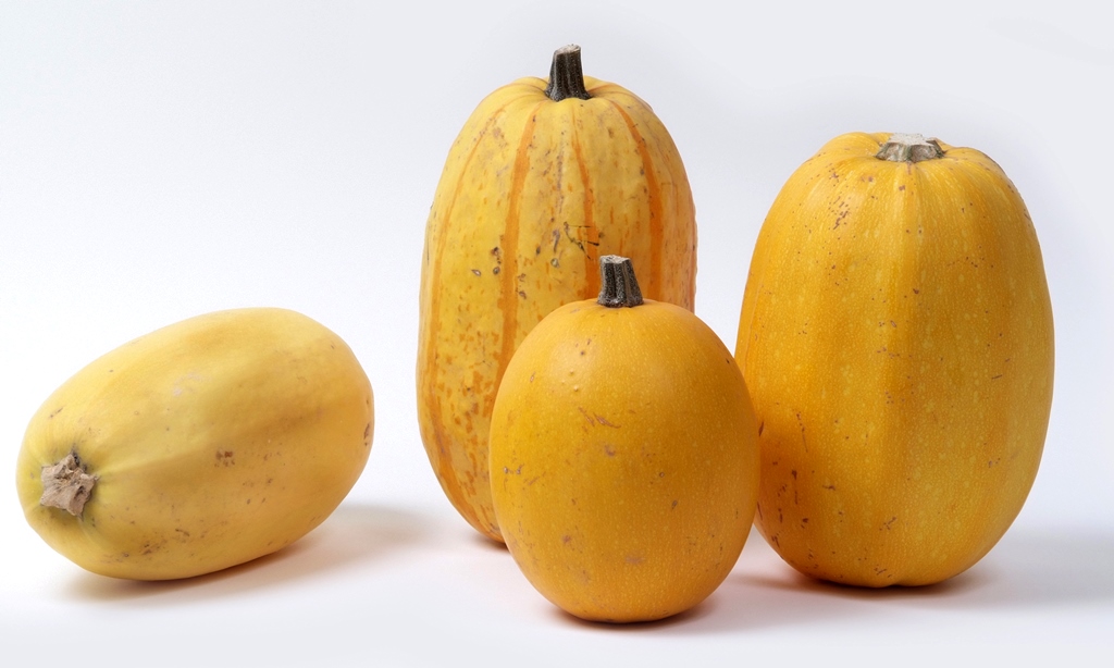 Courge Spaghetti : 10 Recettes Surprenantes à Essayer