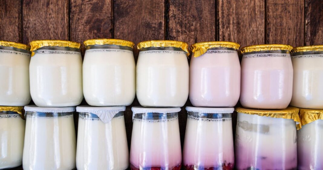 Yaourt à la grecque : Choisissez le bon sans payer cher