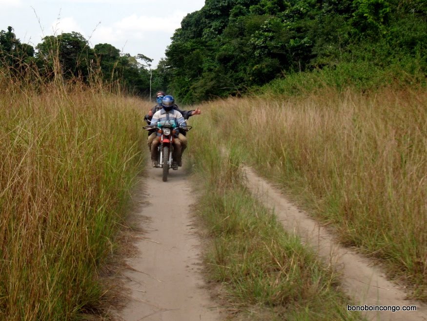 Lubutu : Vers une relance économique après les conflits
