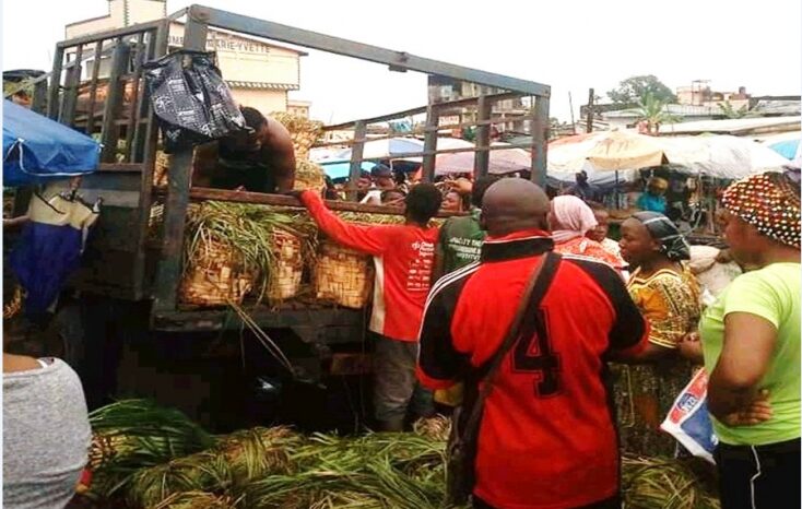 COVID-19 : Impact économique et défis au Cameroun COVID-19 : Impact économique et défis au Cameroun