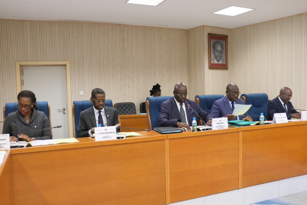 Gabon – Parliament : 18 laws passed in a single sitting, an unprecedented record Gabon – Parliament : 18 laws passed in a single sitting, an unprecedented record